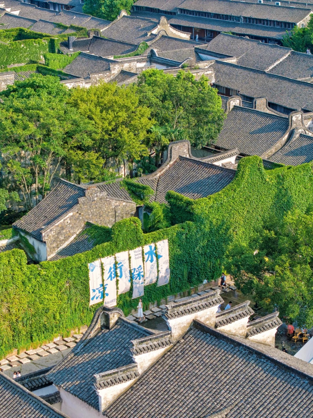 没踩雷🫡第一次来乌镇玩直接复制这个玩法_2_你也是一只猫_来自小红书网页版